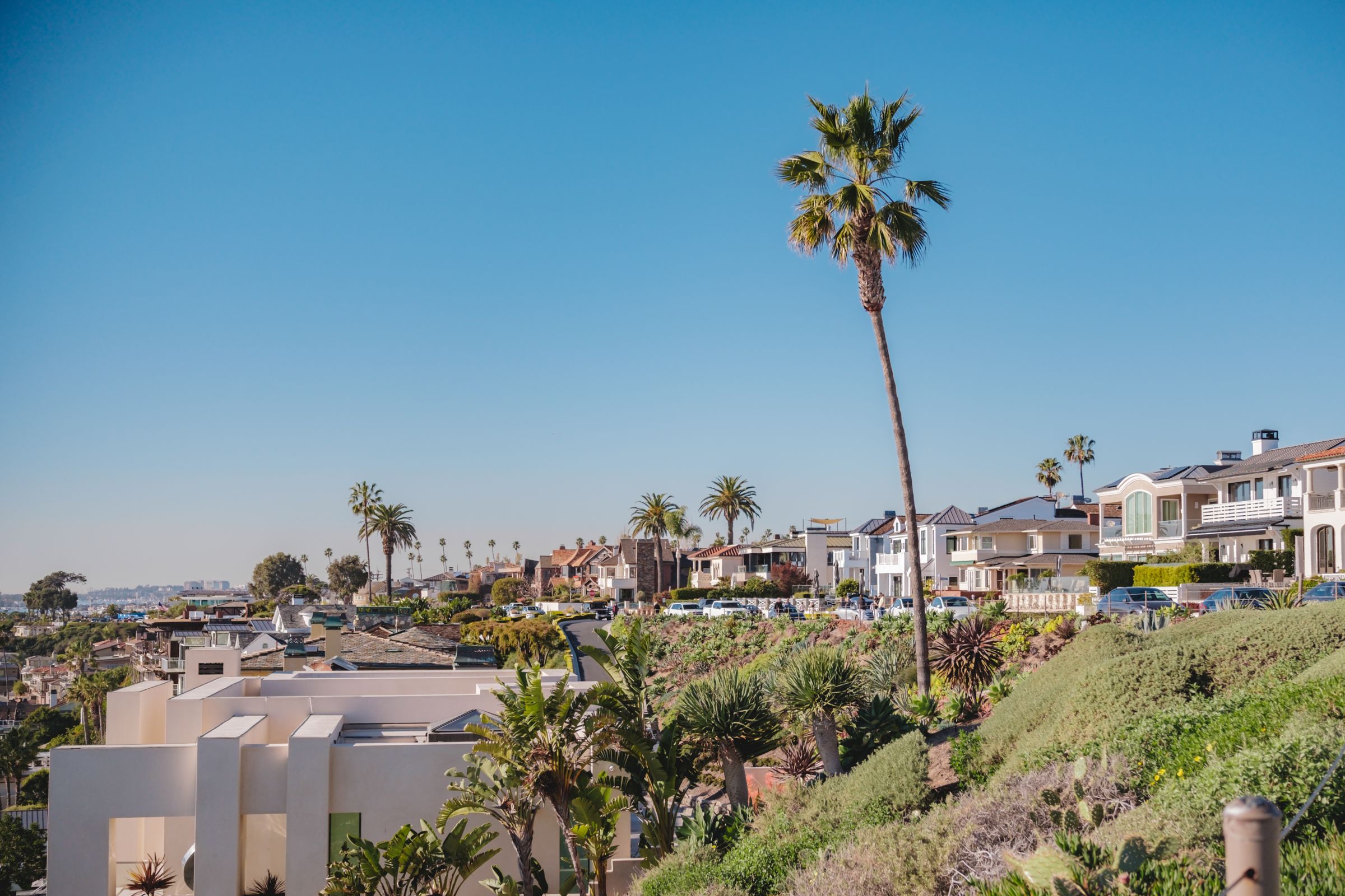 Coastal homes and palms in Newport Beach